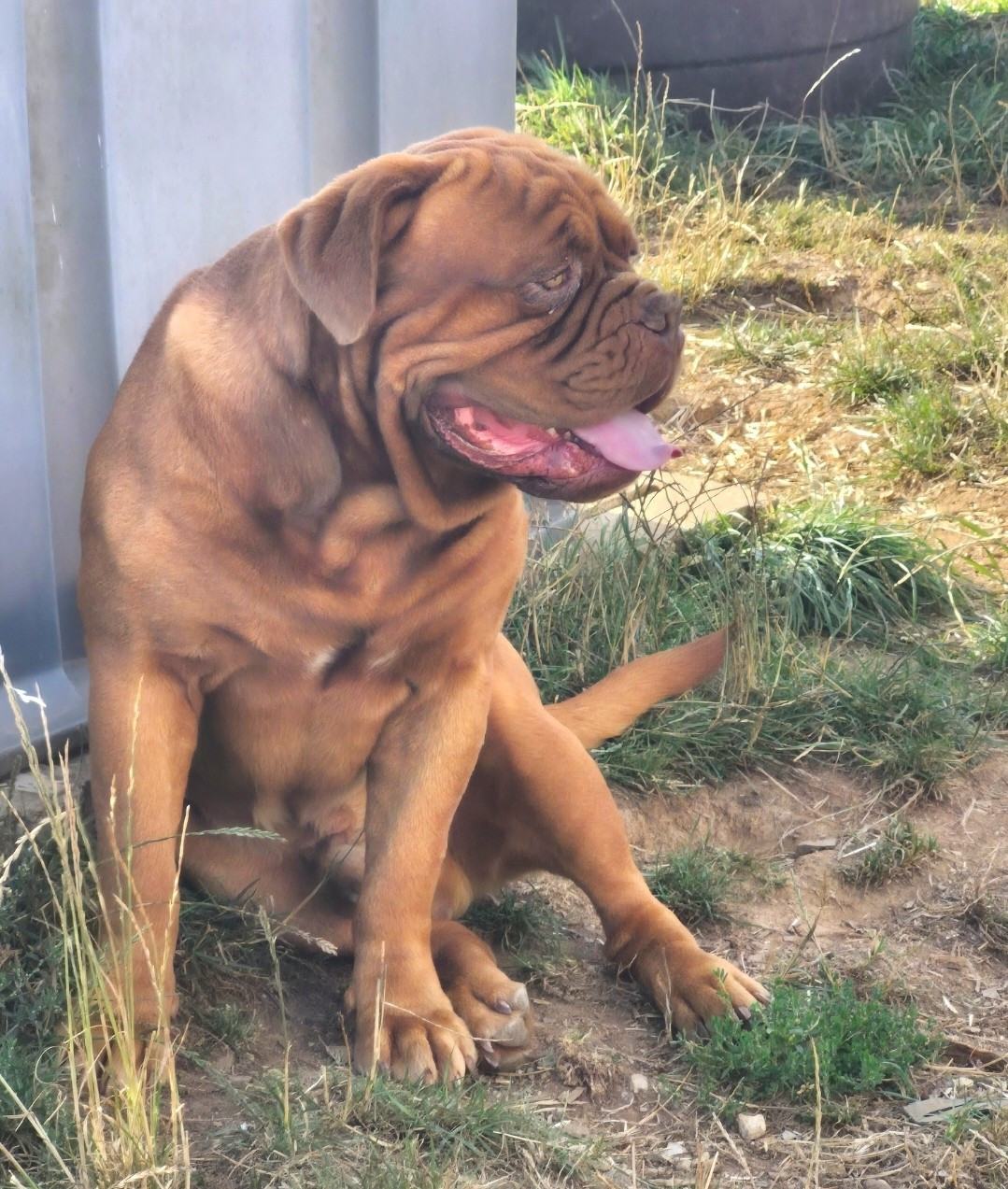 Under armour Des Terres Du Moulin
