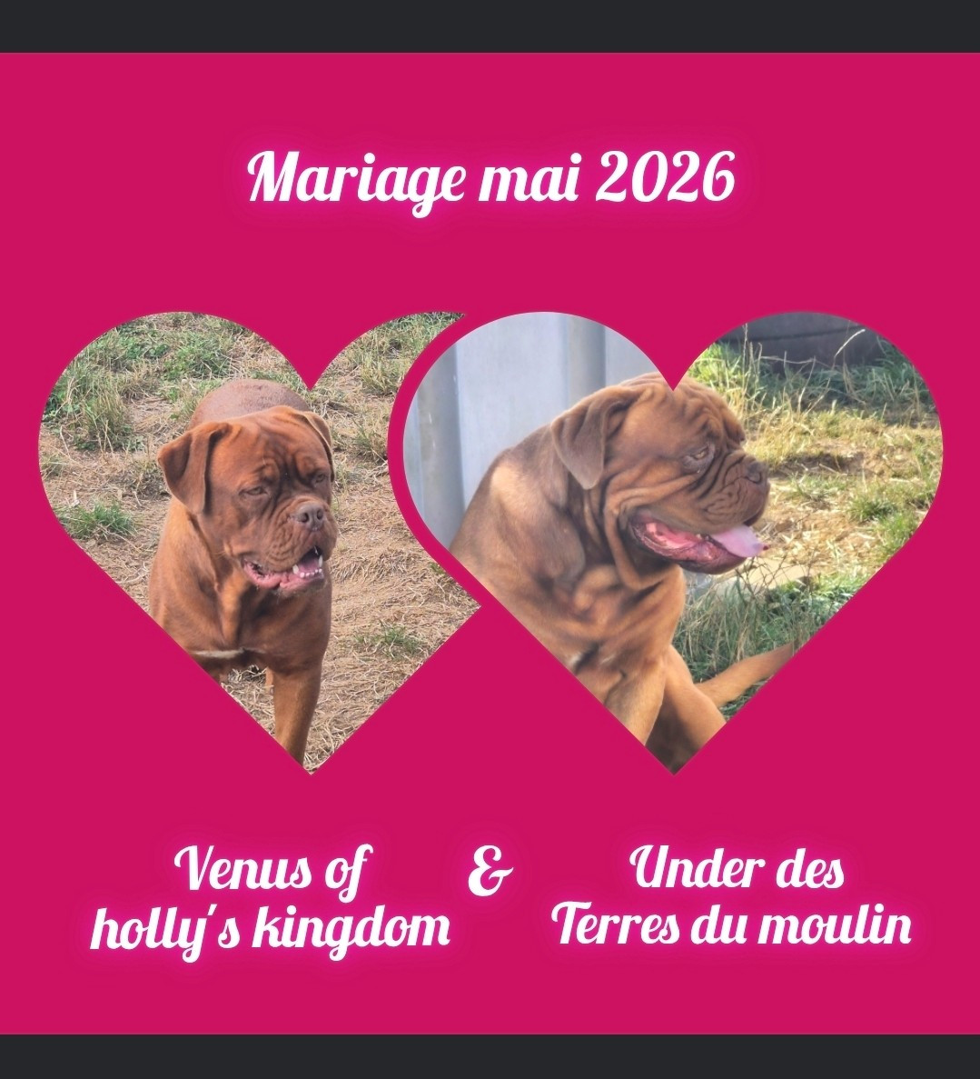 Prochain Mariage